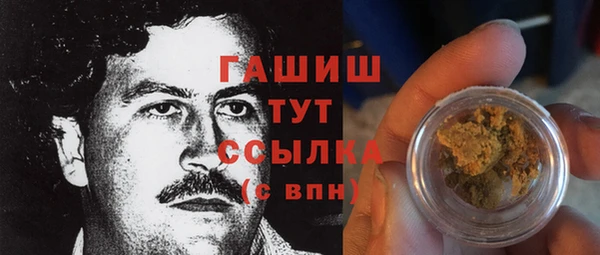 дживик Инта