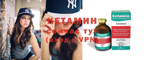 дживик Инта