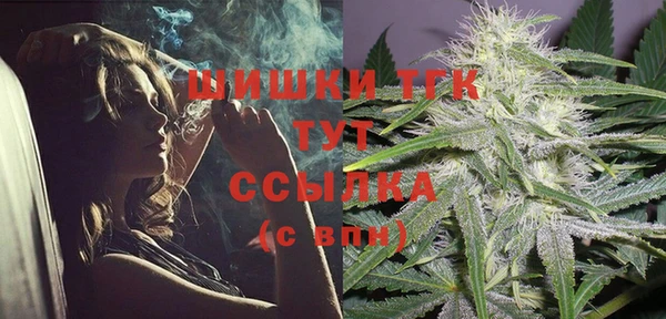 дживик Инта