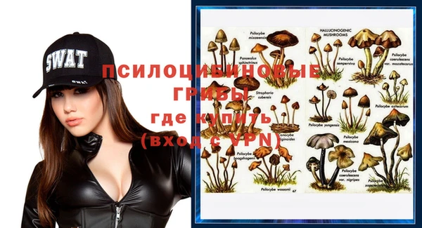 дживик Инта