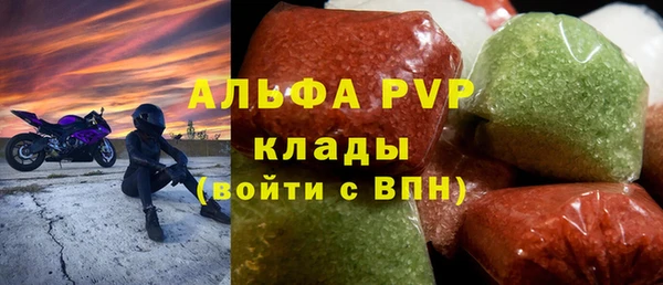 дживик Инта