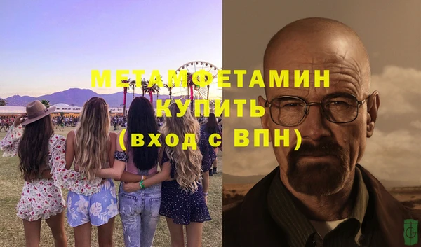 дживик Инта