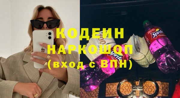дживик Инта