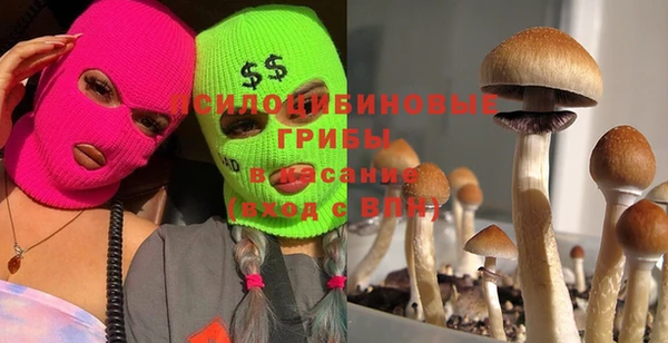 прущие крисы Иннополис