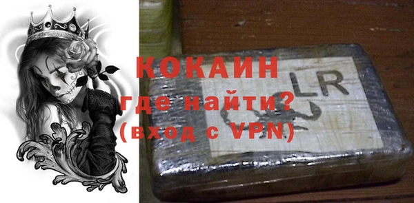 дживик Инта