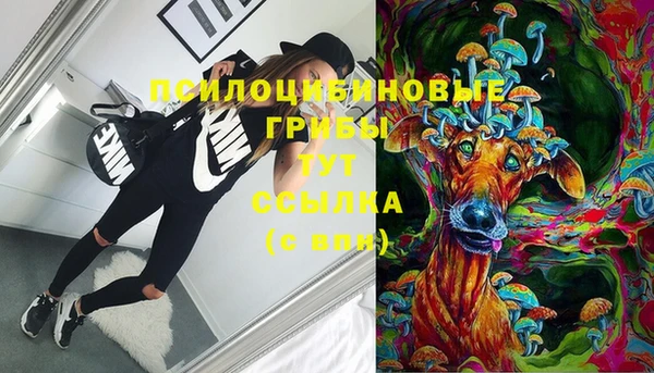 дживик Инта