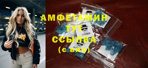 дживик Инта