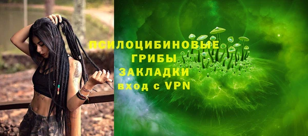 дживик Инта