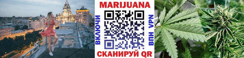 Шишки марихуана семена  хочу наркоту  Магас 